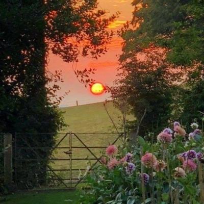 博雅体育app下载官网手机版