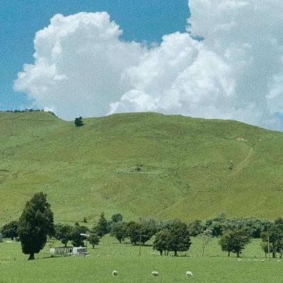 买电竞比赛输赢的app截图