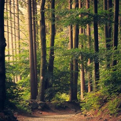 云开·全站APP登录入口