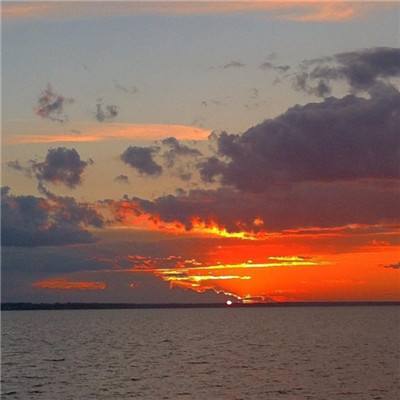 ob体育最新官网手机app下载