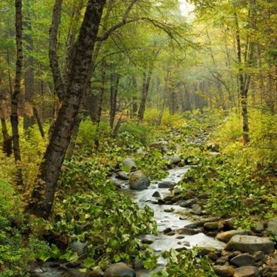 狗万manbet手机app下载