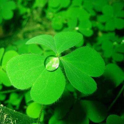 皇冠app下载安装免费下载