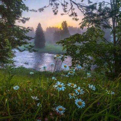 幸运彩票最新app